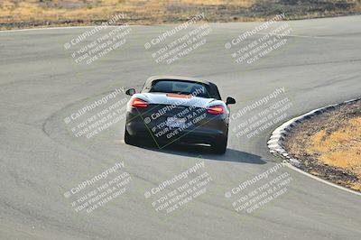 media/Feb-01-2025-Turn8 Trackdays (Sat) [[5681b0f63a]]/Inter 2/Session 1 (Turns 4b and 5)/